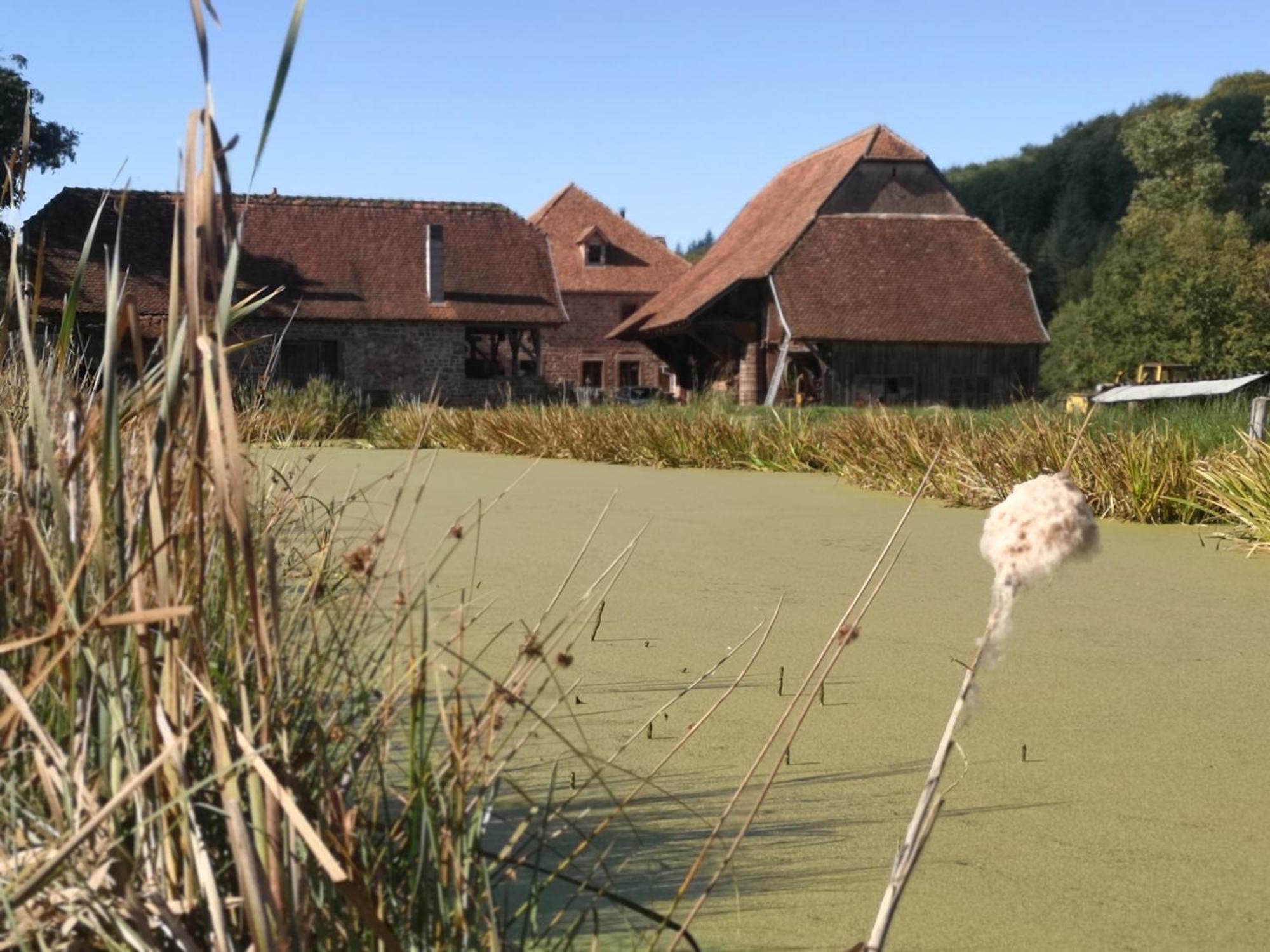 Maison D'Hotes De Charme - Ancien Moulin En Pleine Nature - La Paulusmuehle Soucht Exterior foto