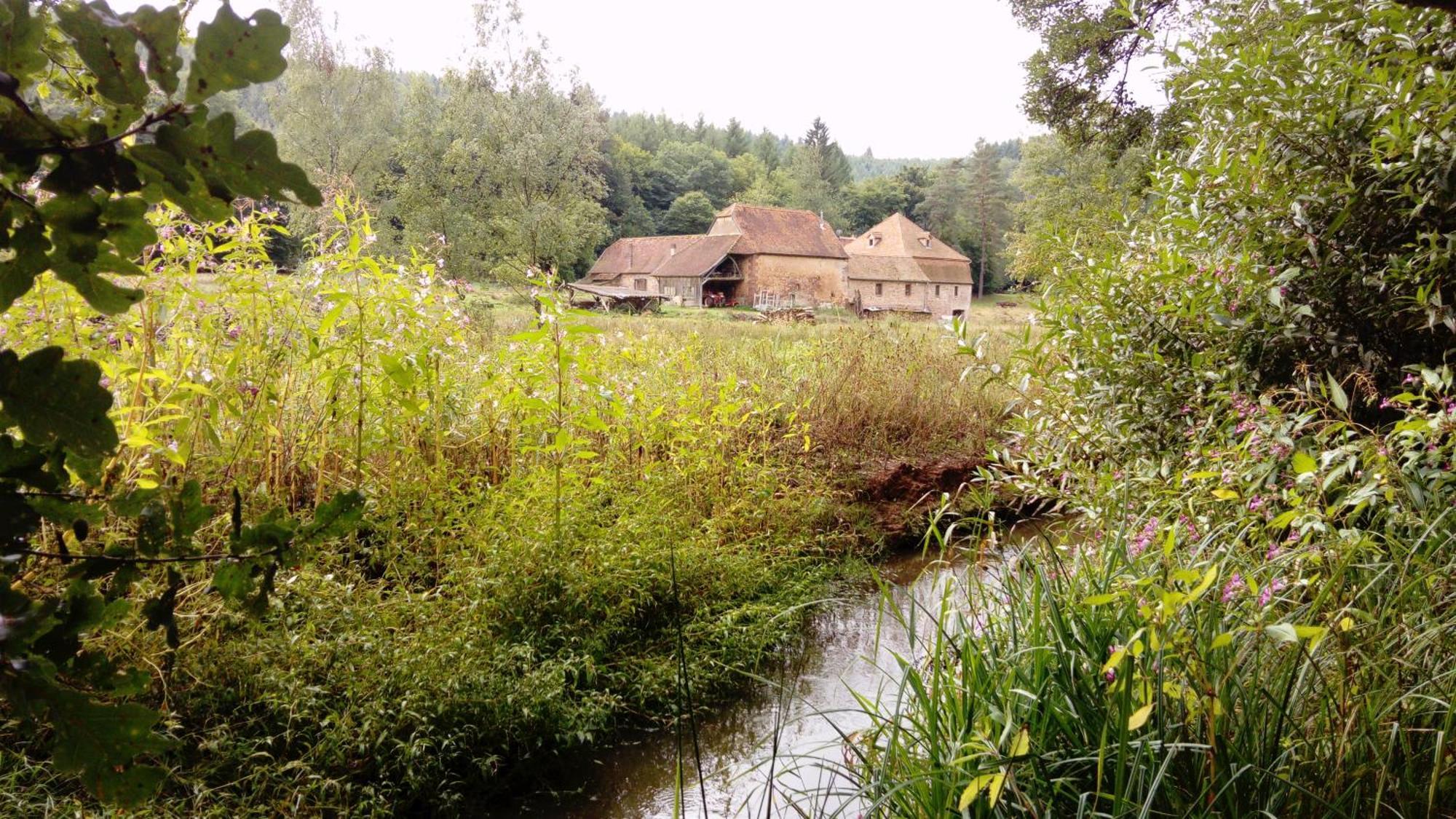 Maison D'Hotes De Charme - Ancien Moulin En Pleine Nature - La Paulusmuehle Soucht Exterior foto