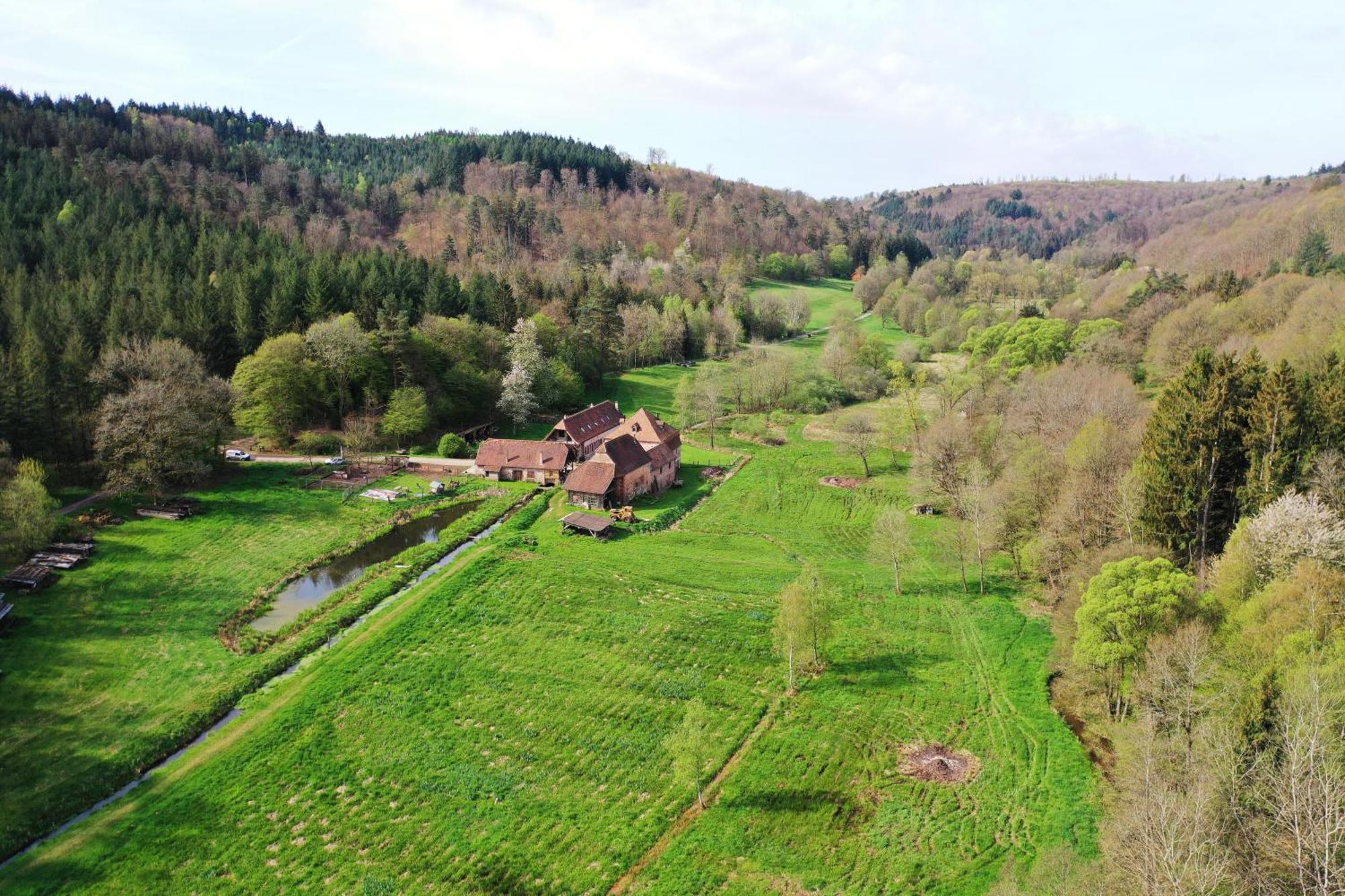 Maison D'Hotes De Charme - Ancien Moulin En Pleine Nature - La Paulusmuehle Soucht Exterior foto
