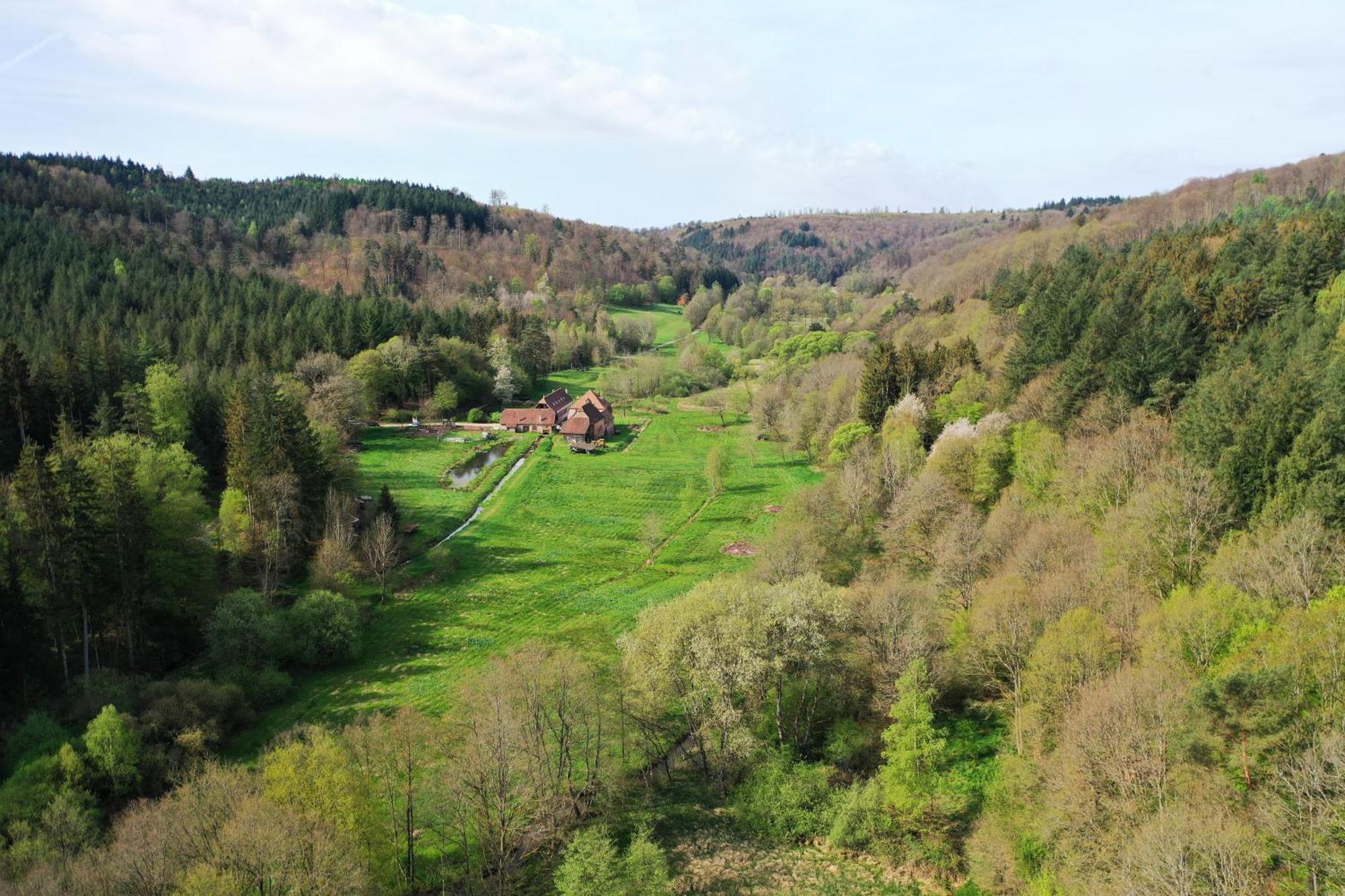 Maison D'Hotes De Charme - Ancien Moulin En Pleine Nature - La Paulusmuehle Soucht Exterior foto